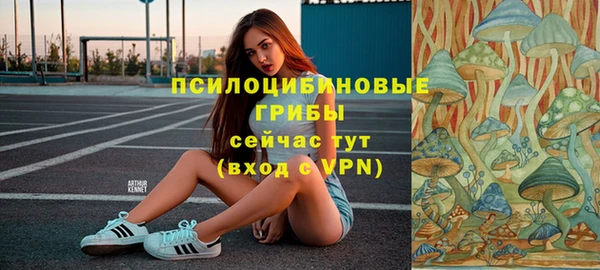 мет Абинск