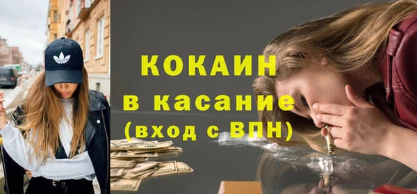 прущие грибы Алексин